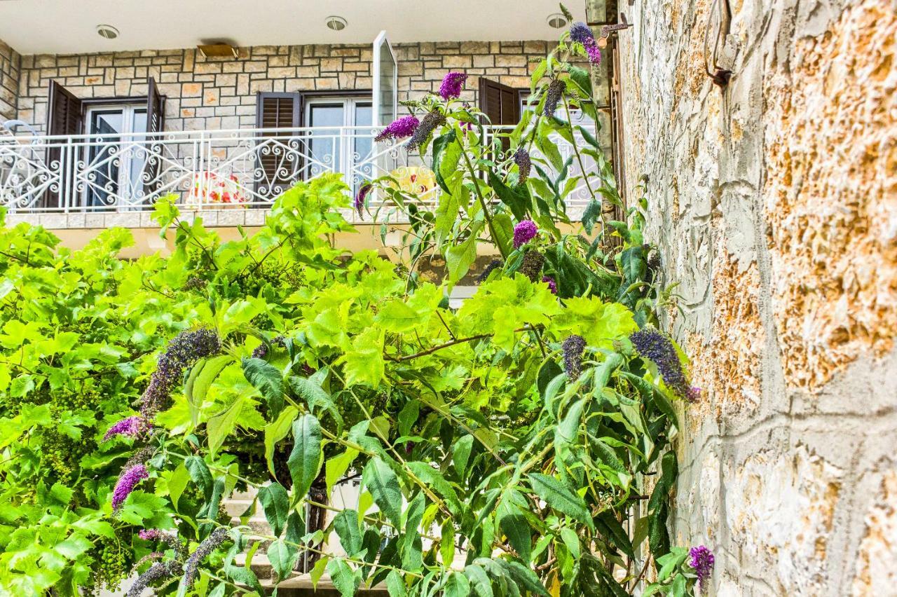 Apartments Petra 볼 외부 사진